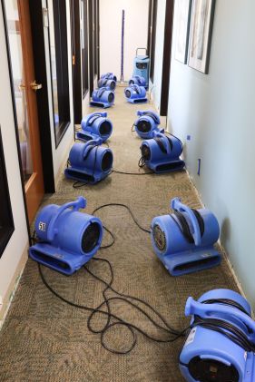 Basement Floods in Nampa, ID (1)